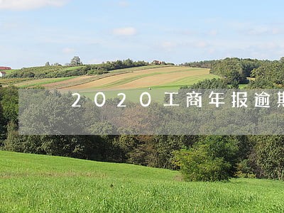 2020工商年报逾期未报 2020工商年报逾期未报