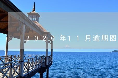 2020年11月逾期图片 2020年11月逾期图片