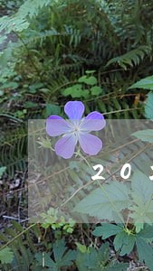 2020年12月用钱宝逾期 2020年12月用钱宝逾期