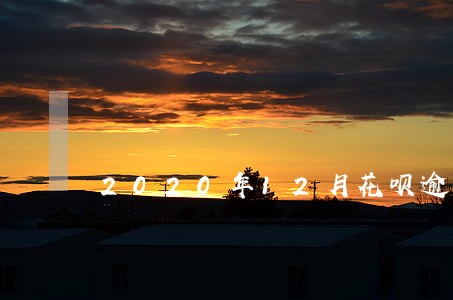 2020年12月花呗逾期图片 2020年12月花呗逾期图片