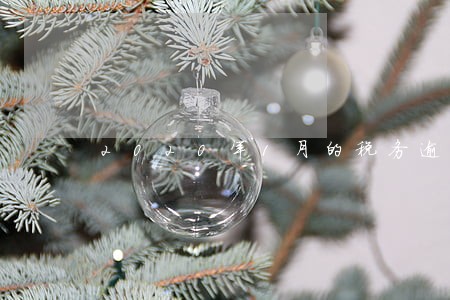 2020年1月的税务逾期申报 2020年1月的税务逾期申报