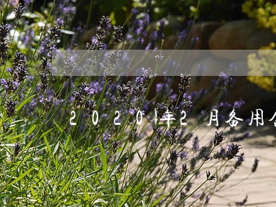 2020年2月备用金逾期了4天 2020年2月备用金逾期了4天