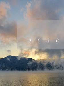2020年2月逾期申报处罚 2020年2月逾期申报处罚