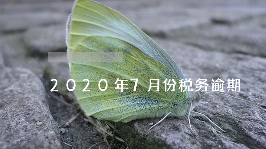 2020年7月份税务逾期 2020年7月份税务逾期