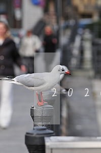 2020年8月违法违规处罚情况 2020年8月违法违规处罚情况