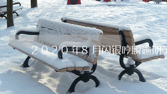 2020年8月闪银哼瞬逾期了 2020年8月闪银哼瞬逾期了