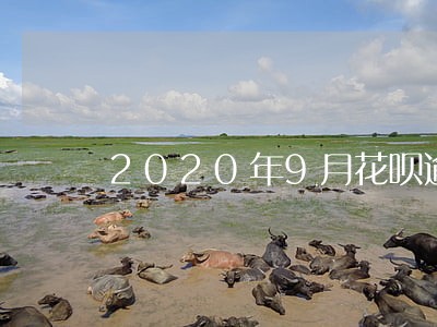 2020年9月花呗逾期图片 2020年9月花呗逾期图片