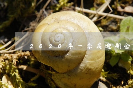 2020年一季度逾期金额 2020年一季度逾期金额