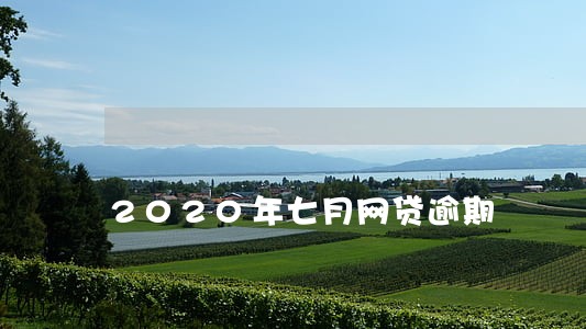 2020年七月网贷逾期 2020年七月网贷逾期