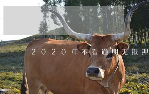 2020年不看逾期无抵押贷款 2020年不看逾期无抵押贷款