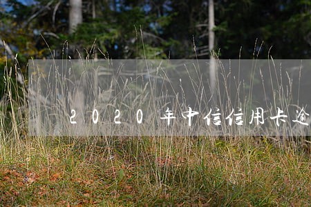 2020年中信信用卡逾期报案