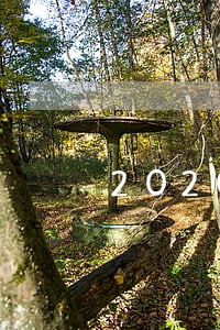 2020年中级社工法律法规答案 2020年中级社工法律法规答案