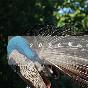 2020年二建法规重点平台 2020年二建法规重点平台