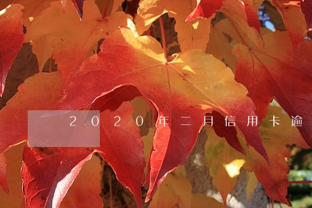 2020年二月信用卡逾期 2020年二月信用卡逾期