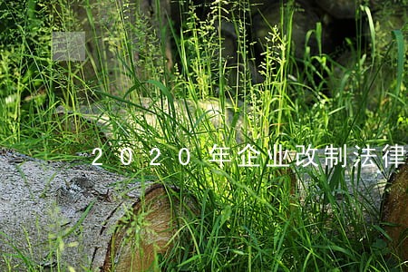 2020年企业改制法律委托合同 2020年企业改制法律委托合同