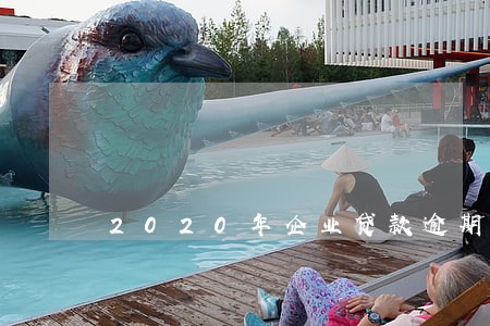 2020年企业贷款逾期 2020年企业贷款逾期