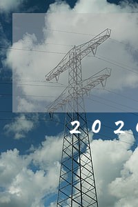 2020年信用卡逾期严重 2020年信用卡逾期严重