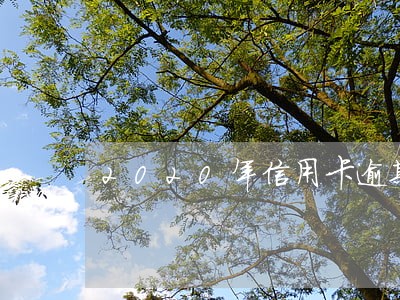 2020年信用卡逾期会坐牢吗