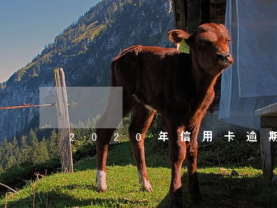2020年信用卡逾期公诉 2020年信用卡逾期公诉