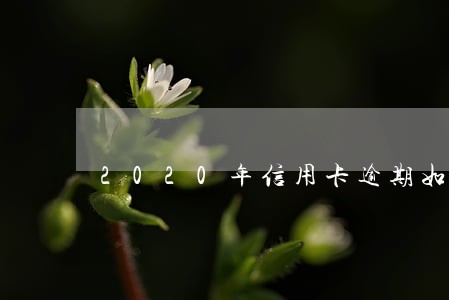 2020年信用卡逾期如何协商 2020年信用卡逾期如何协商