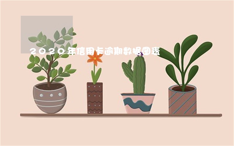 2020年信用卡逾期数据图表 2020年信用卡逾期数据图表