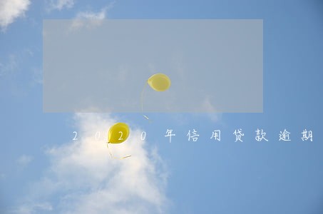 2020年信用贷款逾期 2020年信用贷款逾期