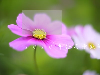2020年信用逾期的多吗