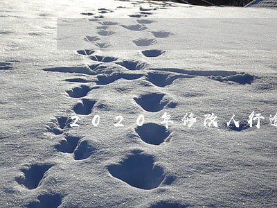 2020年修改人行逾期记录 2020年修改人行逾期记录