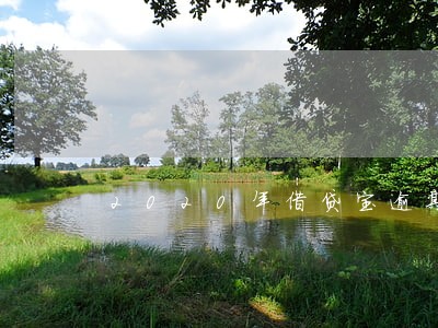 2020年借贷宝逾期上门