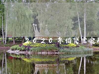 2020年借贷宝逾期多 2020年借贷宝逾期多