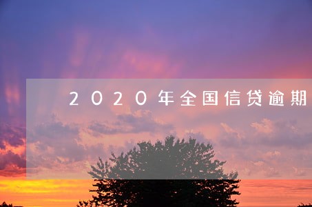 2020年全国信贷逾期情况 2020年全国信贷逾期情况