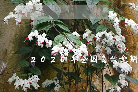 2020年全国负债逾期人数 2020年全国负债逾期人数