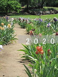 2020年全民贷款逾期 2020年全民贷款逾期
