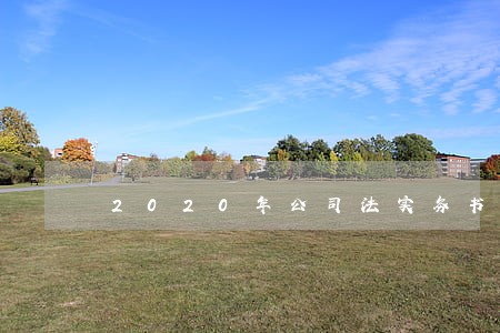 2020年公司法实务书籍推荐