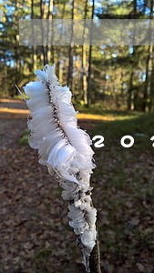 2020年劳动法产检规定