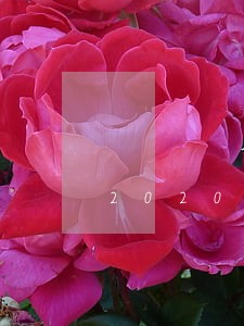 2020年劳动法病假扣钱 2020年劳动法病假扣钱