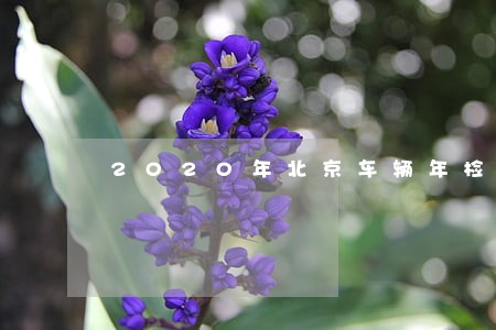 2020年北京车辆年检逾期 2020年北京车辆年检逾期