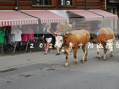2020年千阳法院预算公开说明 2020年千阳法院预算公开说明