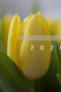 2020年及贷逾期多久上征信 2020年及贷逾期多久上征信