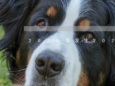 2020年发生2021年诉讼民法典