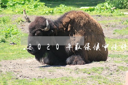 2020年取保候审条件 2020年取保候审条件