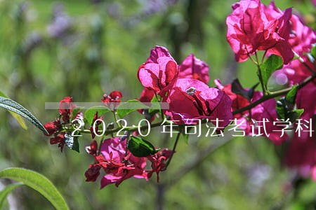 2020年司法考试学科 2020年司法考试学科