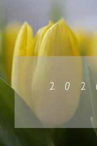 2020年哈尔滨信用卡逾期 2020年哈尔滨信用卡逾期