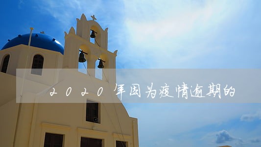 2020年因为疫情逾期的 2020年因为疫情逾期的