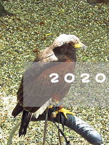 2020年国家宪法日宣传挂图 2020年国家宪法日宣传挂图