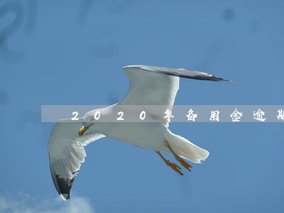 2020年备用金逾期怎么办 2020年备用金逾期怎么办