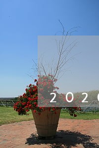 2020年多少人要信用逾期