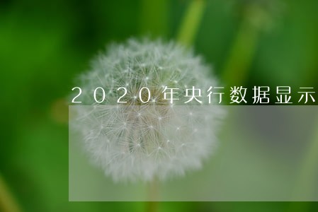 2020年央行数据显示逾期 2020年央行数据显示逾期