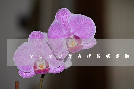 2020年央行数据逾期人数查询 2020年央行数据逾期人数查询