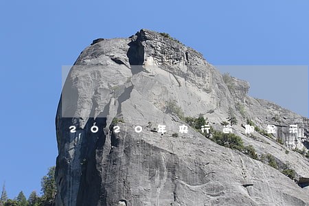 2020年央行逾期显示数据 2020年央行逾期显示数据